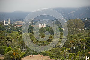 Tropical vegetation in Santa Barbara, Califronia photo