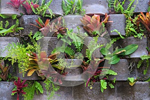 Tropical vertical garden