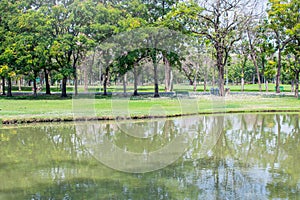Tropical view of canal in public park surrounded with green trees in sunny day.