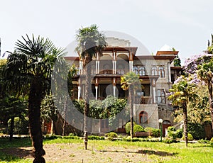 Tropical villa among palm trees