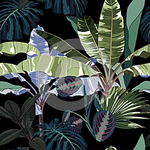 Tropical vintage night plants, palm trees, banana tree floral seamless pattern black background.