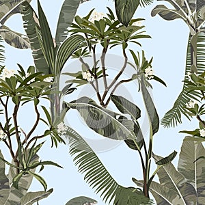 Tropical vintage  palm, monstera, plant, plumeria flowers floral seamless border, blue background.