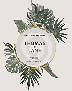 Tropical vintage Safari leaves with gold frame isolateed vector. Jungle exotic rainforest palm leaves save the date card,