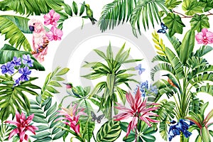 Tropical wallpaper design with exotic plant. Flowers, palm leaves, butterfly and birds. Watercolor Summer background