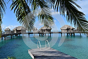 Tropical water huts, bungalows in Bora Bora Tahiti idyllic honeymoon vacation with palm tree leaves