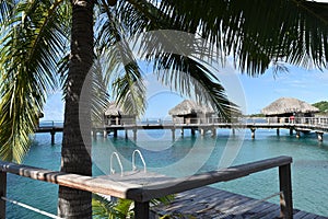 Tropical water huts, bungalows in Bora Bora Tahiti idyllic honeymoon vacation with palm tree leaves