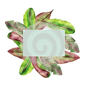 Tropical watercolor frame, red, yellow and green banana leaves, veined, isolated on white background, with space for text, for inv