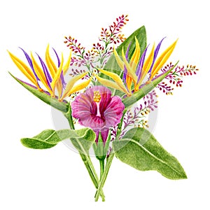 Tropical watercolor painting bouquet with hibiscus, strelitzia, paradise bird flowers, and palm leaves. Design bouquet element.