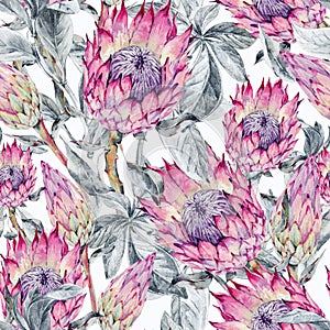 Tropical watercolor seamless pattern of protea flowers. Exotic pink bouquet, twigs and leaves photo