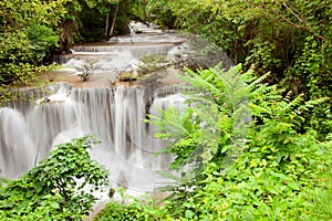 Tropisch Wasserfall 