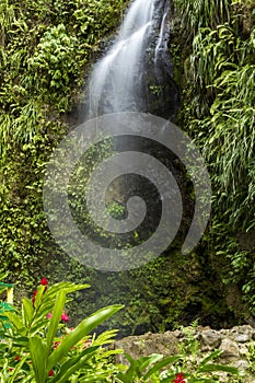 Tropical waterfall