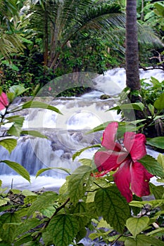 Tropical waterfall