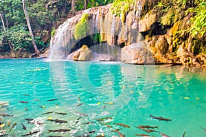 Tropical waterfall with emerald lake in jungle forest