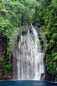 Tropical Waterfall in jungle