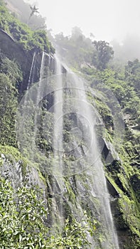 Tropical Waterfall La Chorrera Colombia