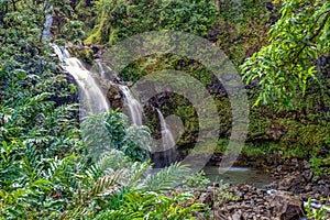 Tropical Waterfall Maui