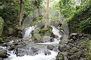 Tropical Waterfall in the Rainforest