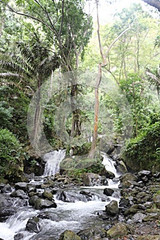 Tropical Waterfall in the Rainforest