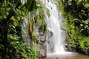 Tropical Waterfall Rainforest Costa Rica