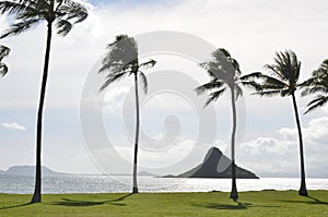 Tropical waterfront recreation area