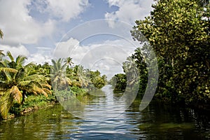 Kerala Waterway photo