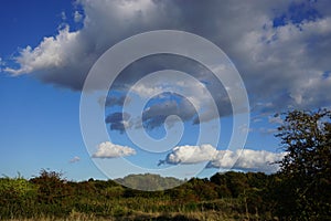 Tropical Weather & Landscape in Mitcham