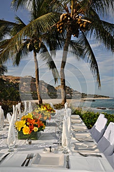 Tropical wedding table setting Los Cabos