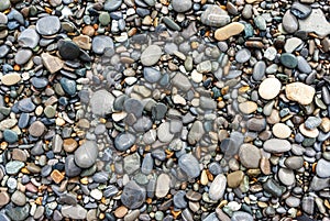 Tropical wet pebbles background. Loo beach