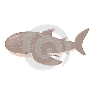Tropical whale shark icon cartoon vector. Ocean fish