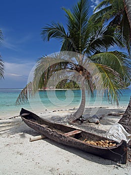 Tropical white sand beach