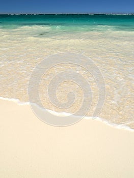 Tropical white sand beach