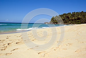 Tropical white sand beach