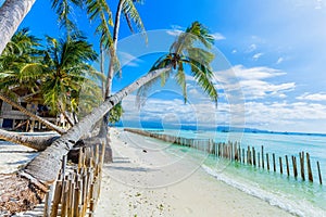 Tropical white sand beach in Boracay, Philippines
