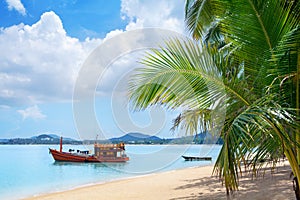 Tropical white sand beach landscape, turquoise sea water, blue sky, clouds, green palm, boat, summer on Samui island, Thailand