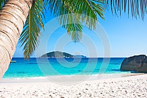 Tropical white sand beach with palm trees