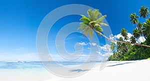 Tropical White Sand Beach