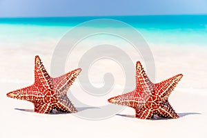 Tropical white sand with red starfish in clear water