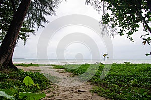tropical white sand sea beach landscape with rainy rainning cloudscape moving in thunderstrom daytime.Nature beach environment photo