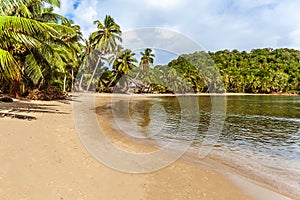 Tropical wild beach