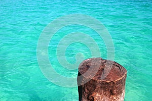 Tropical wood trunk as mooring column in caribbean