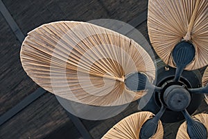 Tropical wooden ceiling fan