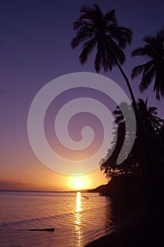 Tropicl Hawaiian Sunset