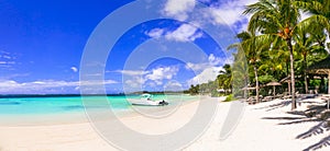 tropics destination . Exotic tropical beach scenery. Mauritius island