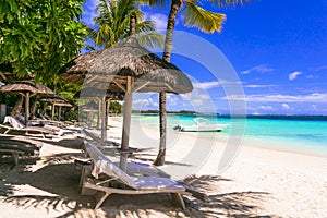 tropics destination . Exotic tropical beach scenery. Mauritius island, belle mare beach