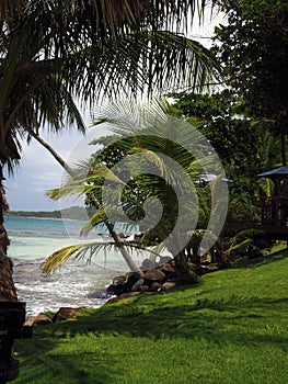 Tropics scene of Long Bay harbor beach tropical trees Big Corn