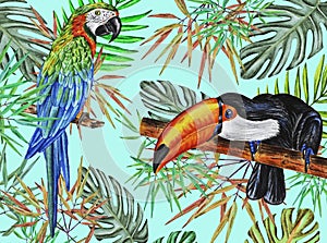 Tropics. Watercolor pattern with macaw parrot, toucan, jungle leaves. The idea of design, textiles, wallpaper and more.