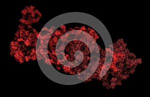 Troponin, 3D rendering: structure of the human cardiac troponin