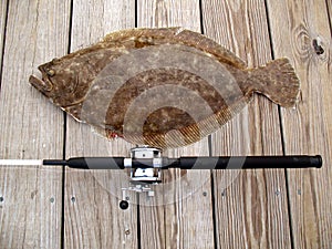 Tropy Doormat Flounder