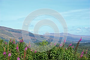 The Trossachs photo