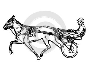 Trotter in harness drawing